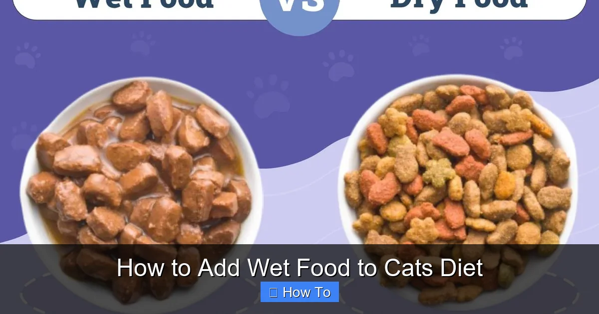 How to Add Wet Food to Cats Diet