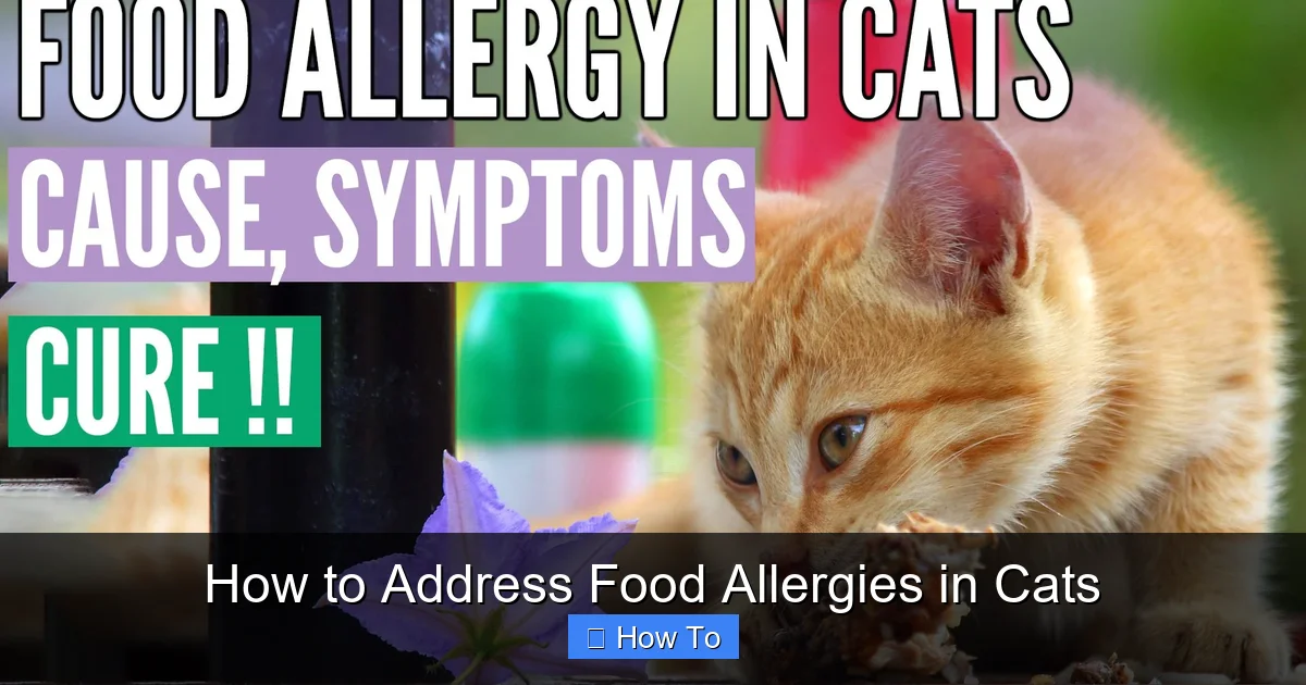 How to Address Food Allergies in Cats