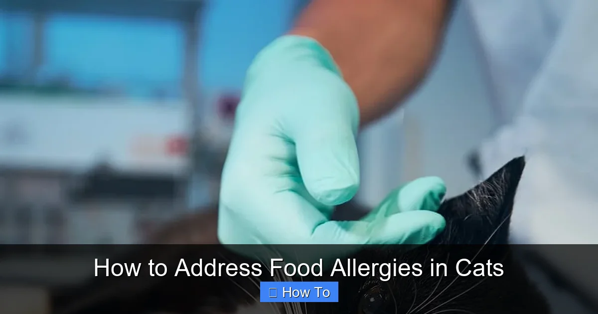 How to Address Food Allergies in Cats