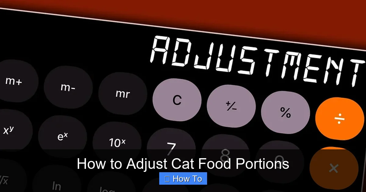 How to Adjust Cat Food Portions