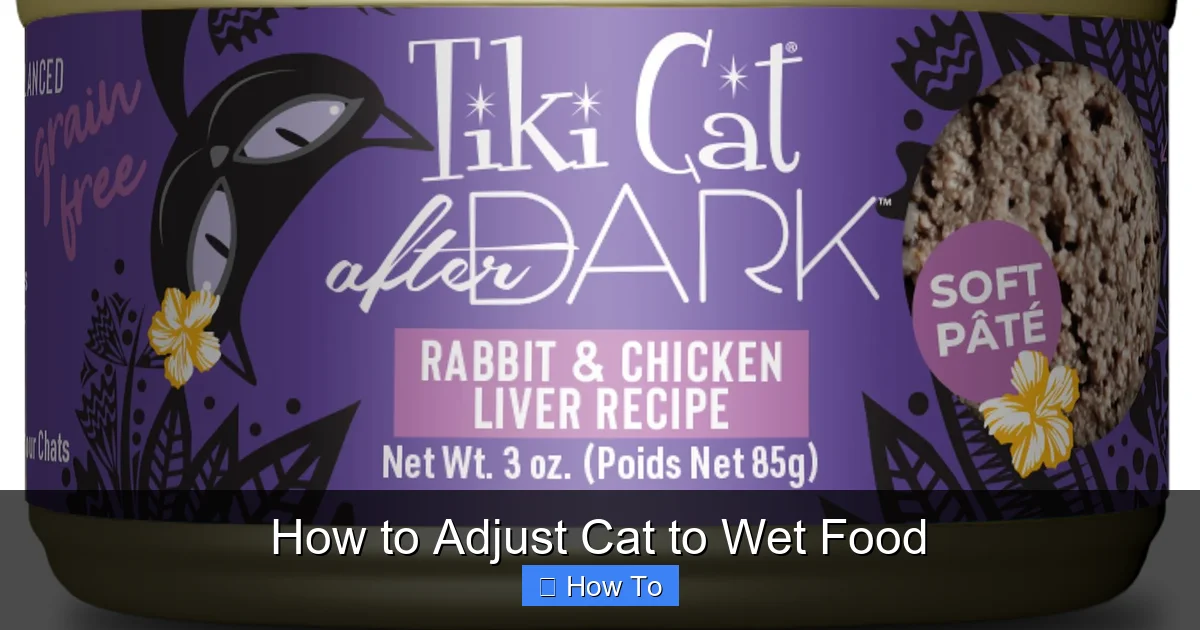 How to Adjust Cat to Wet Food