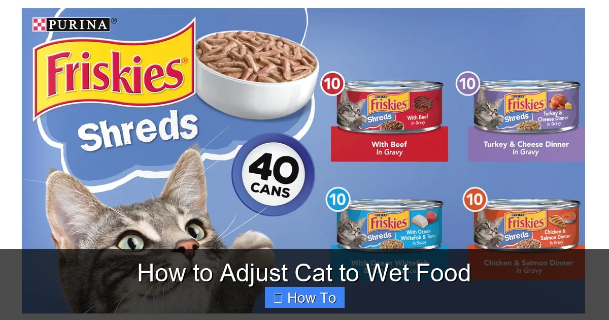 How to Adjust Cat to Wet Food