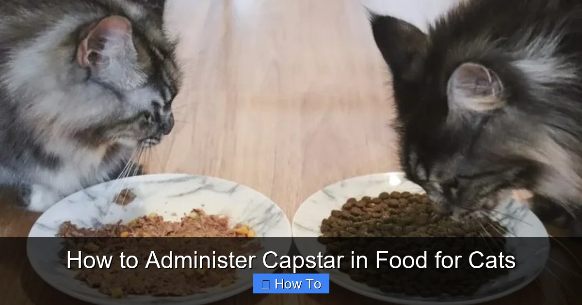 How to Administer Capstar in Food for Cats