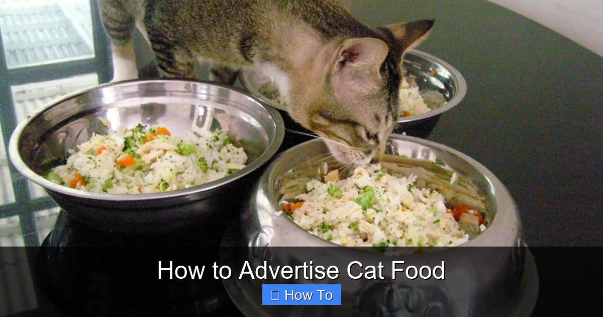 How to Advertise Cat Food