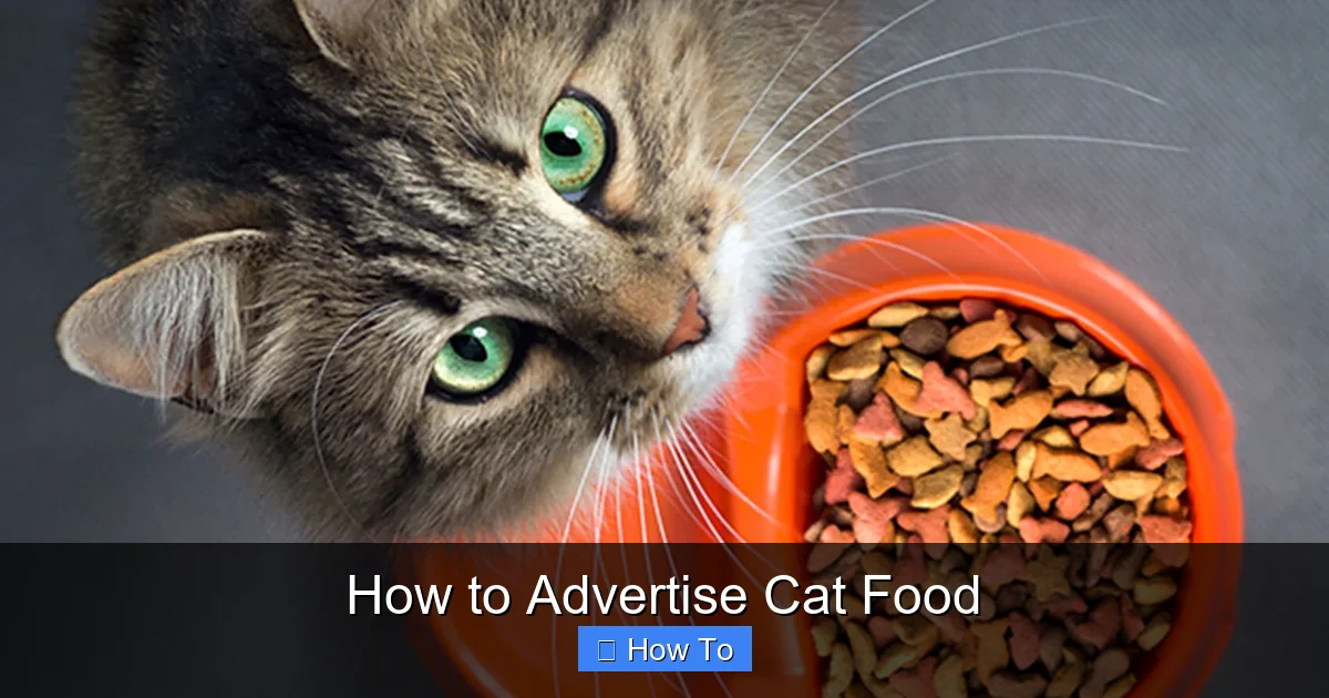 How to Advertise Cat Food