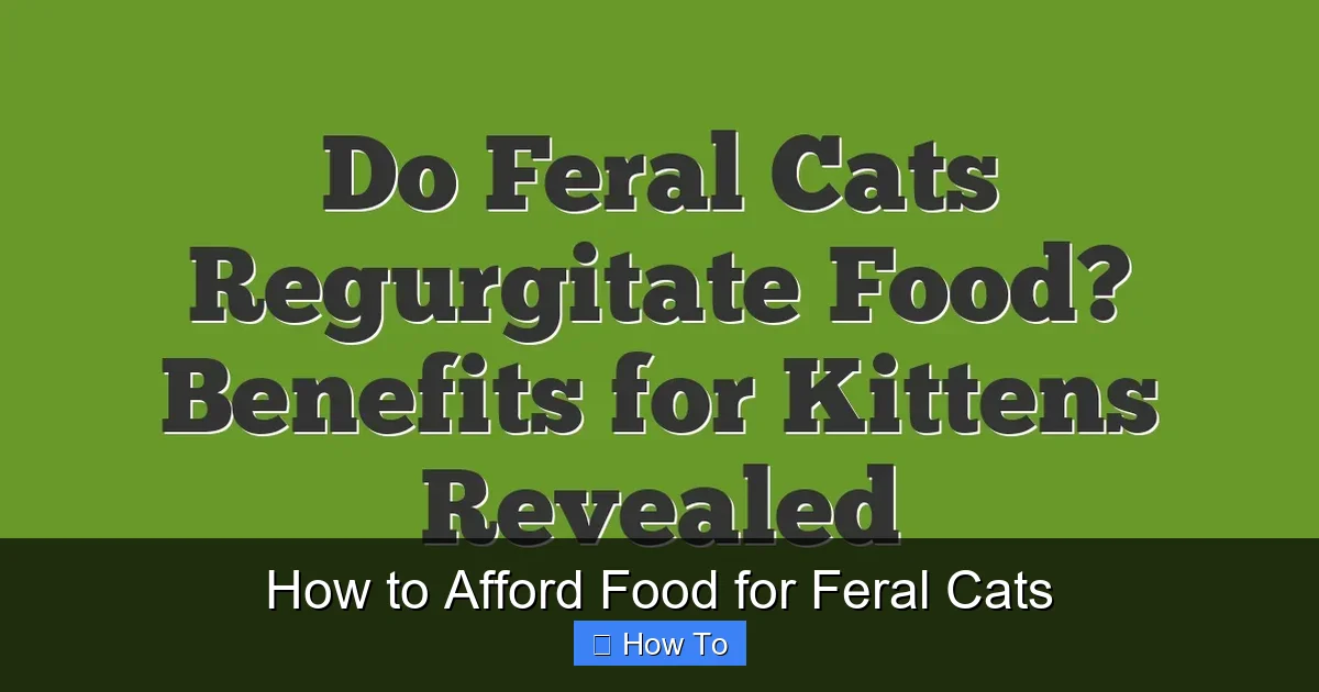 How to Afford Food for Feral Cats