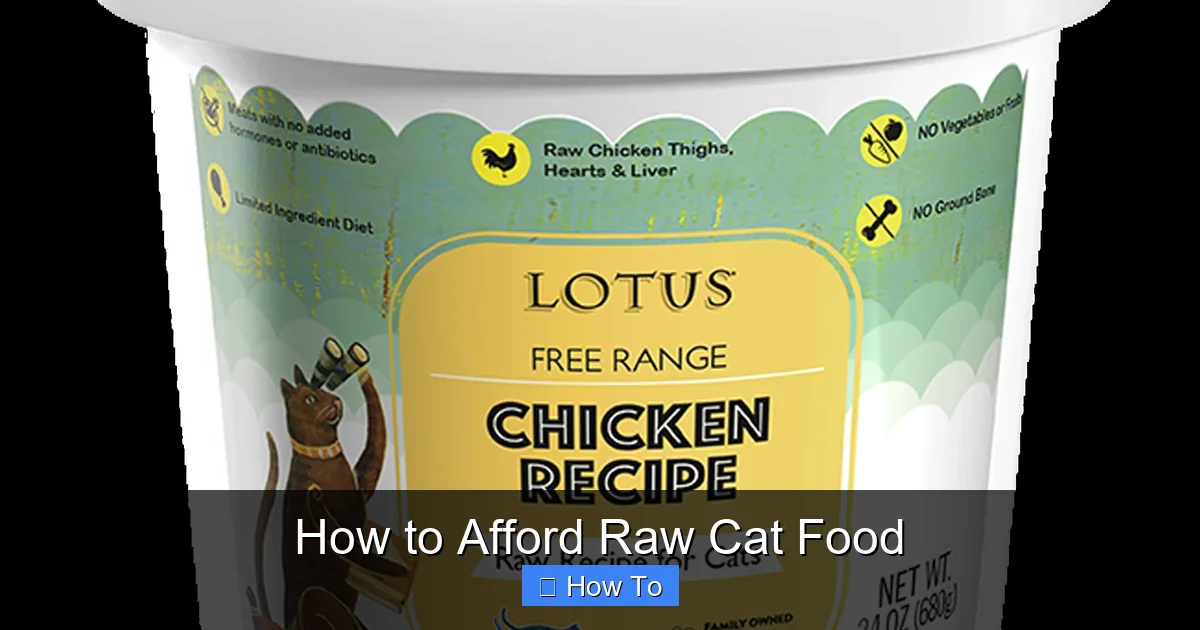 How to Afford Raw Cat Food