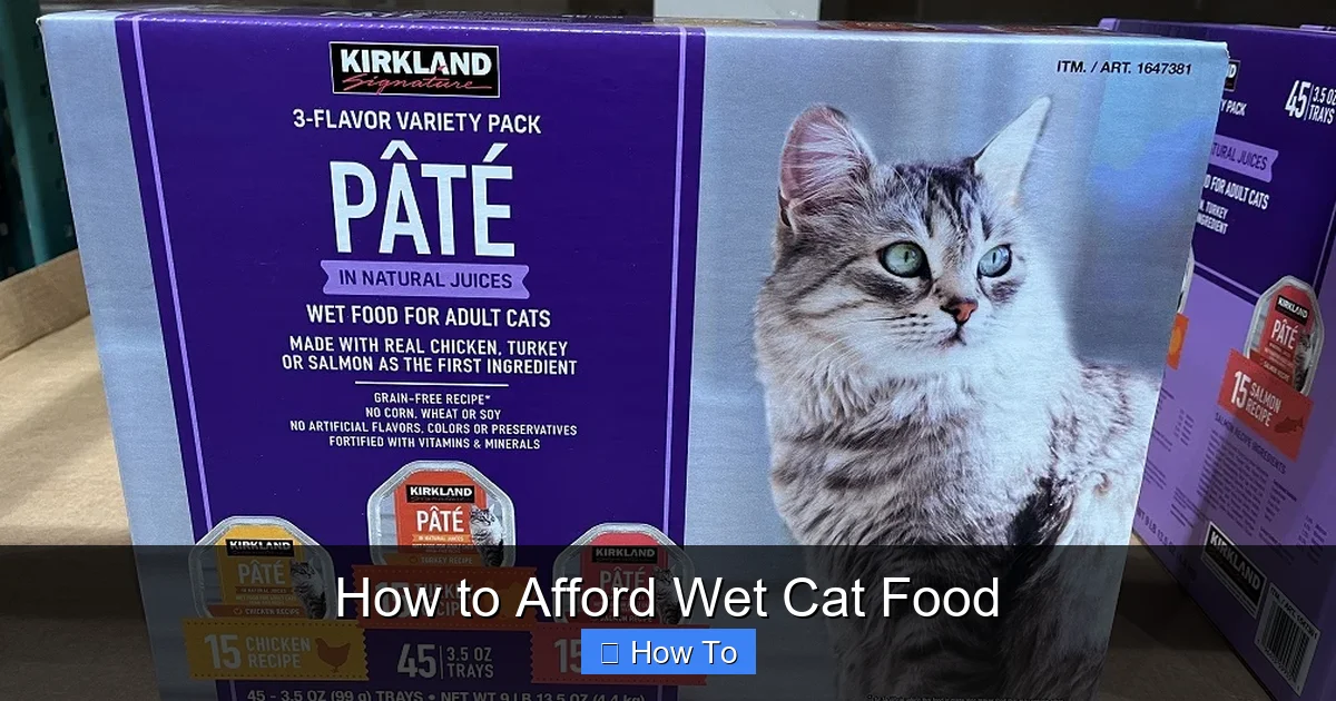 How to Afford Wet Cat Food