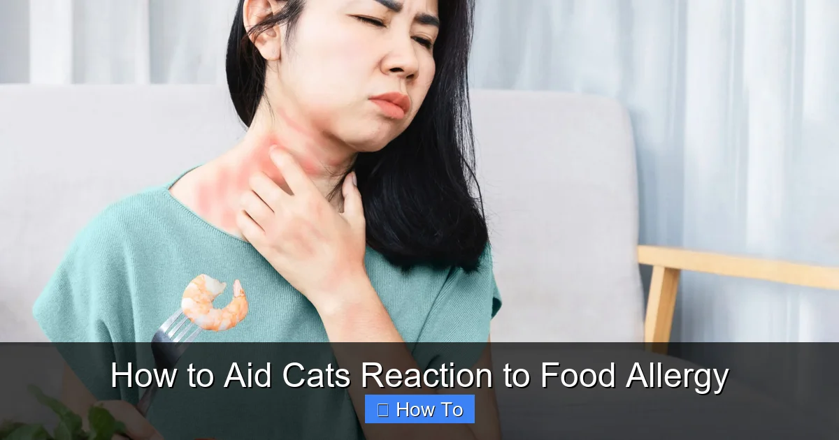 How to Aid Cats Reaction to Food Allergy