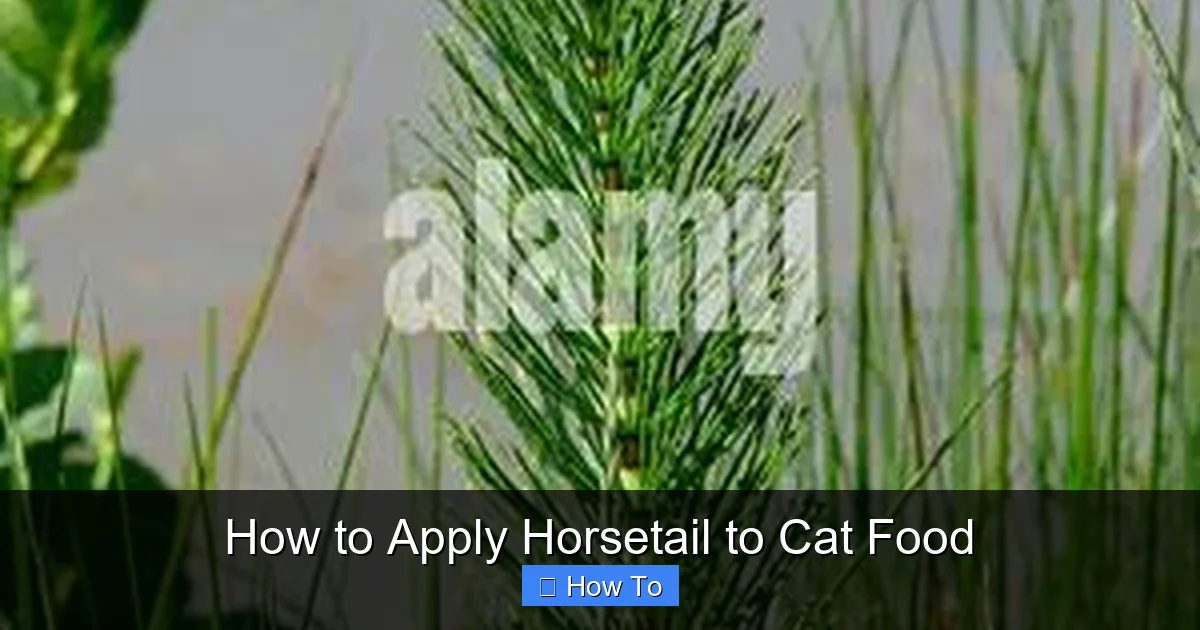 How to Apply Horsetail to Cat Food