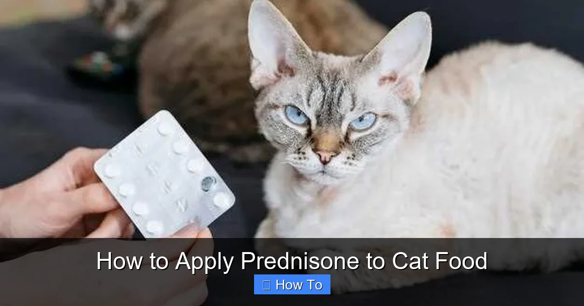 How to Apply Prednisone to Cat Food