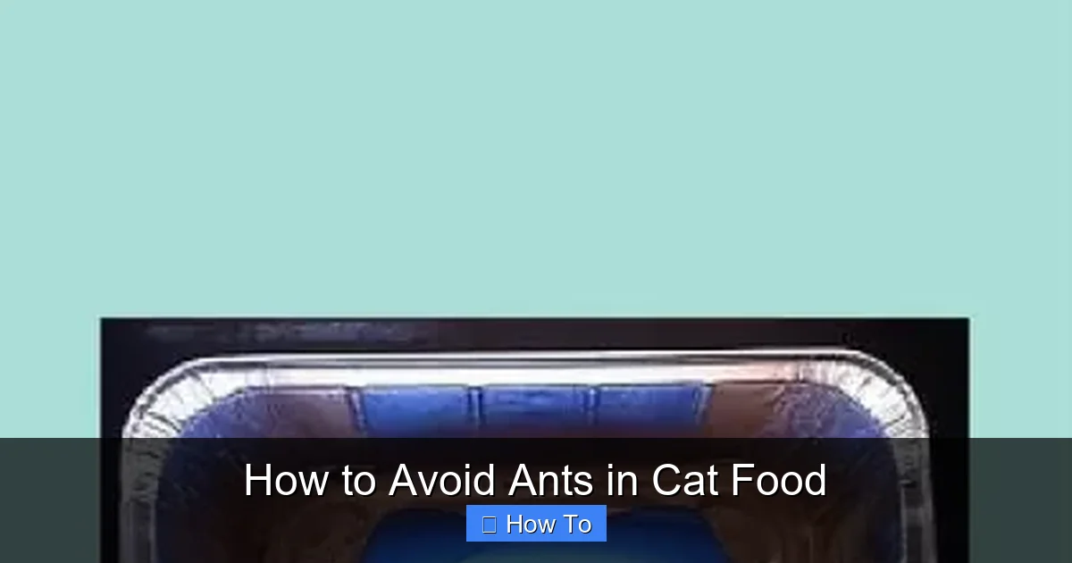 How to Avoid Ants in Cat Food