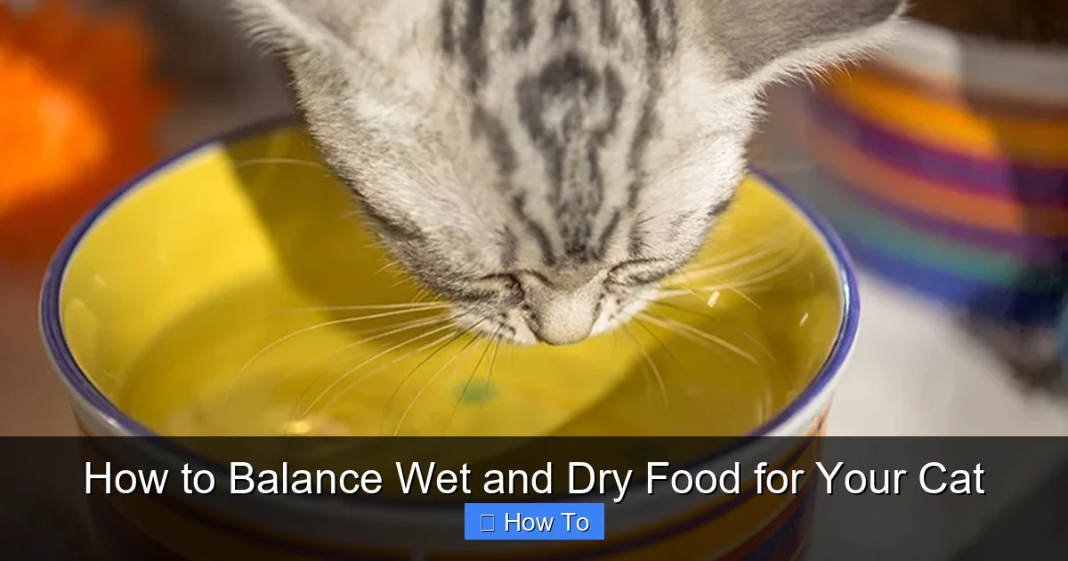 How to Balance Wet and Dry Food for Your Cat