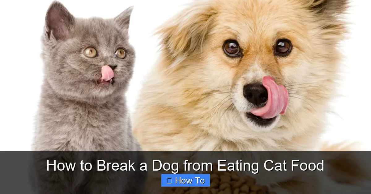 How to Break a Dog from Eating Cat Food
