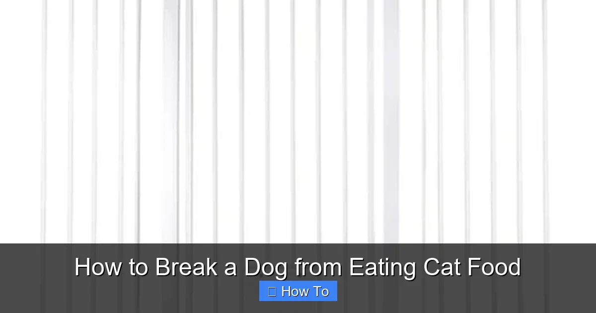How to Break a Dog from Eating Cat Food