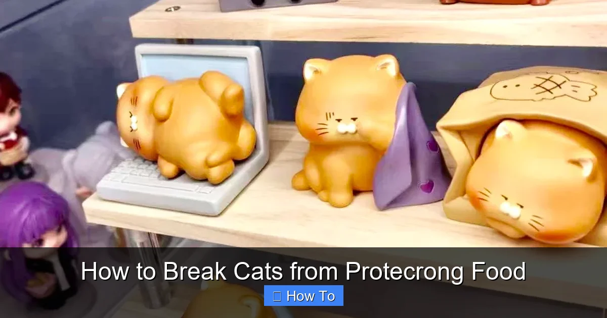 How to Break Cats from Protecrong Food