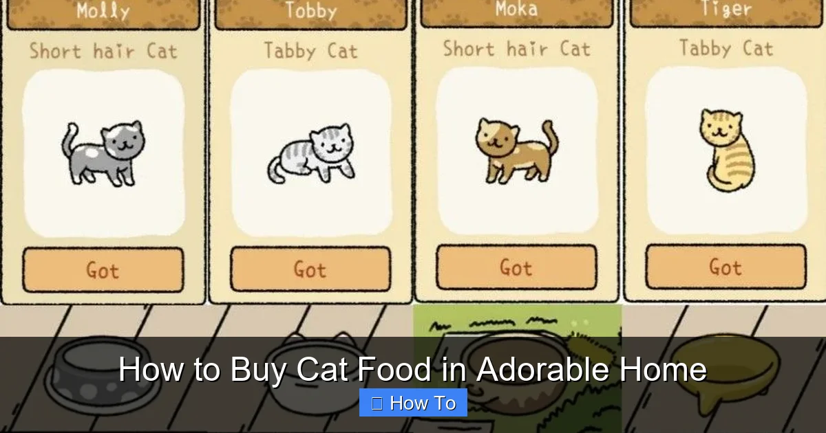 How to Buy Cat Food in Adorable Home