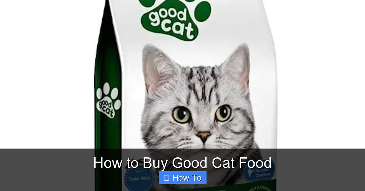 How to Buy Good Cat Food