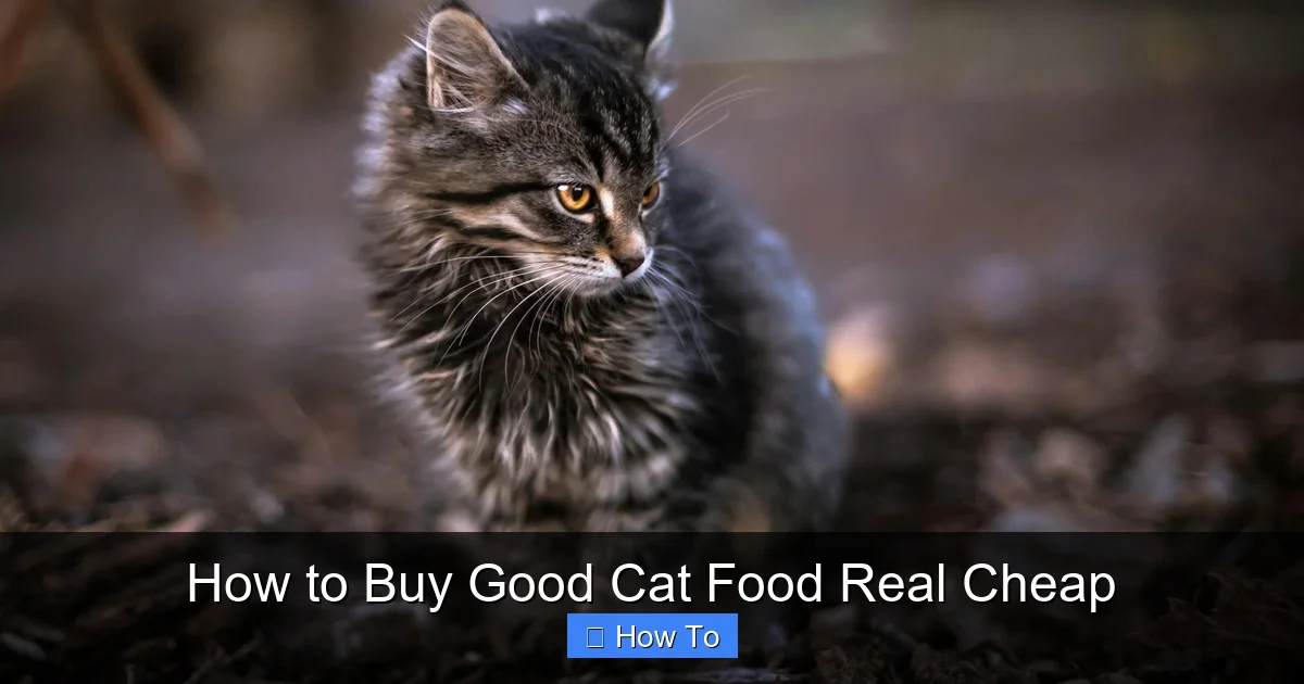 How to Buy Good Cat Food Real Cheap
