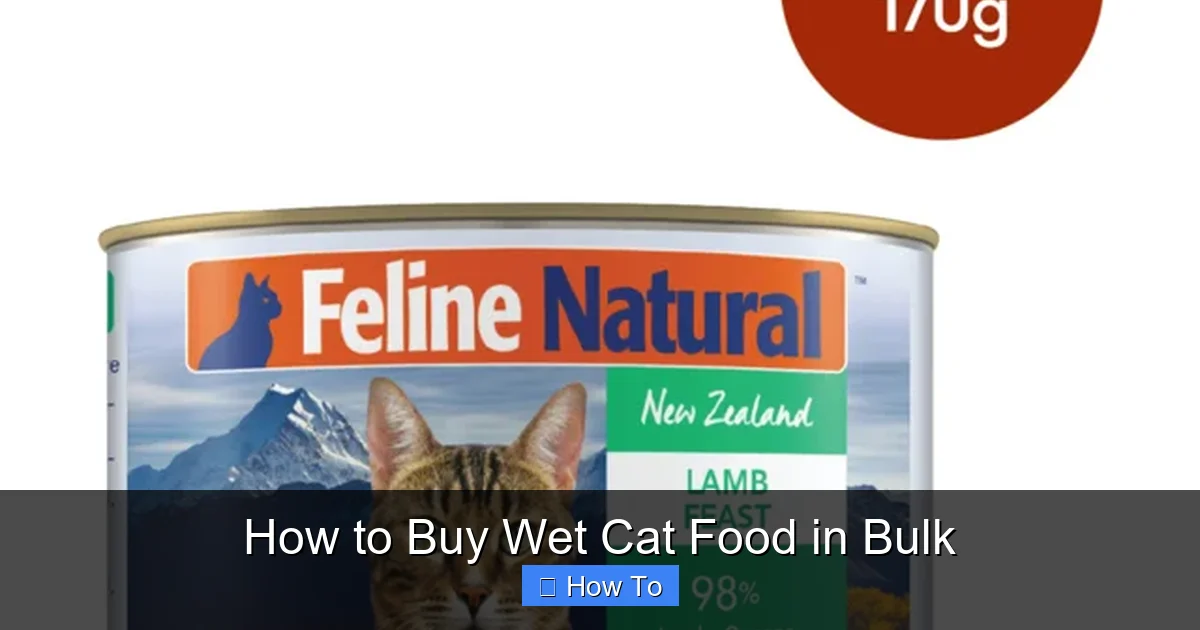 How to Buy Wet Cat Food in Bulk
