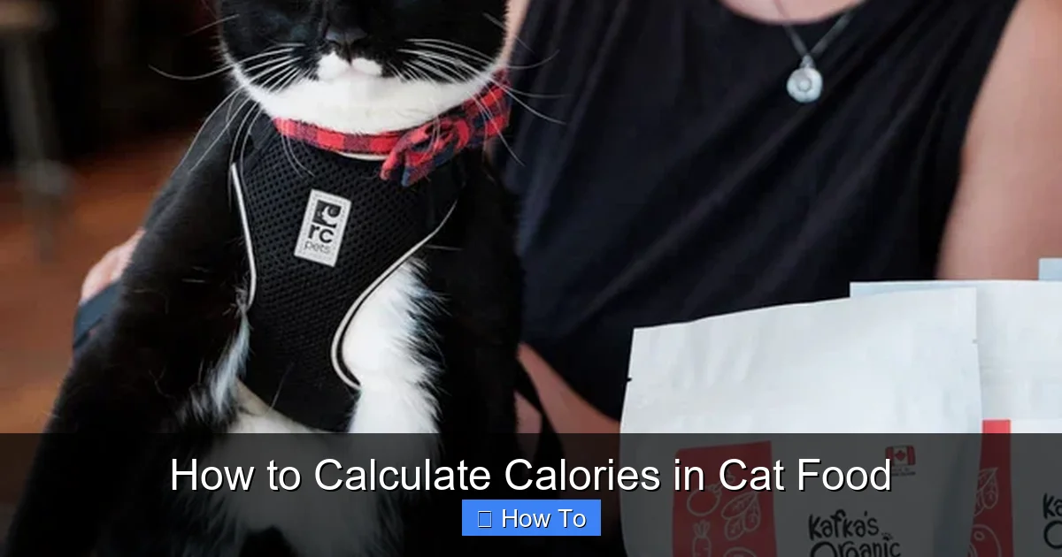 How to Calculate Calories in Cat Food