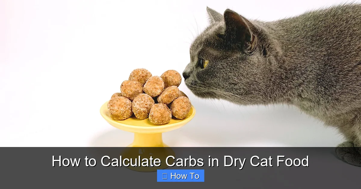 How to Calculate Carbs in Dry Cat Food