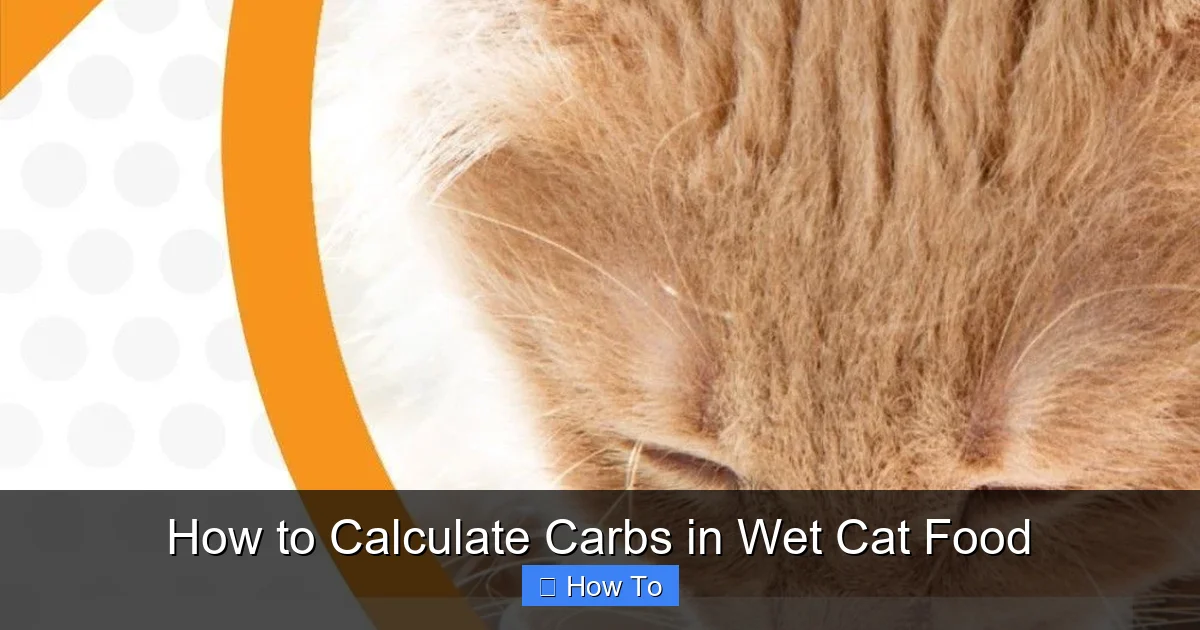 How to Calculate Carbs in Wet Cat Food