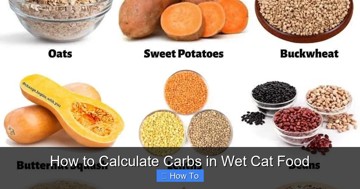 How to Calculate Carbs in Wet Cat Food