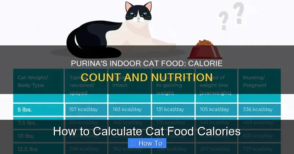 How to Calculate Cat Food Calories