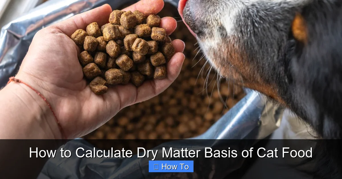 How to Calculate Dry Matter Basis of Cat Food
