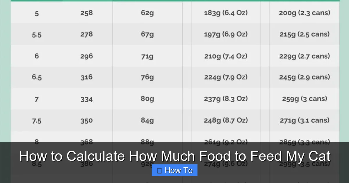 How to Calculate How Much Food to Feed My Cat
