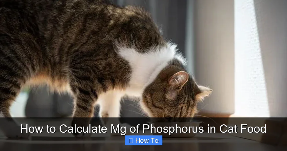 How to Calculate Mg of Phosphorus in Cat Food