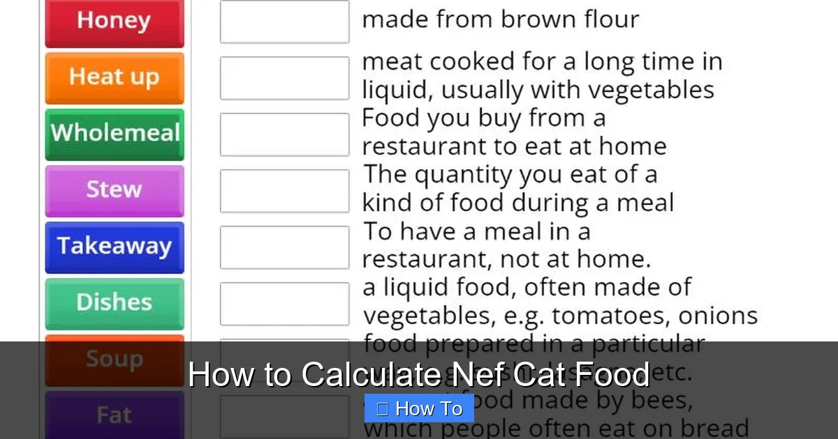 How to Calculate Nef Cat Food