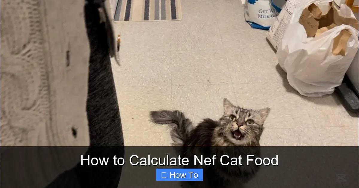 How to Calculate Nef Cat Food