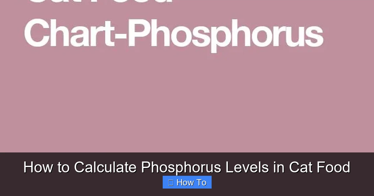 How to Calculate Phosphorus Levels in Cat Food