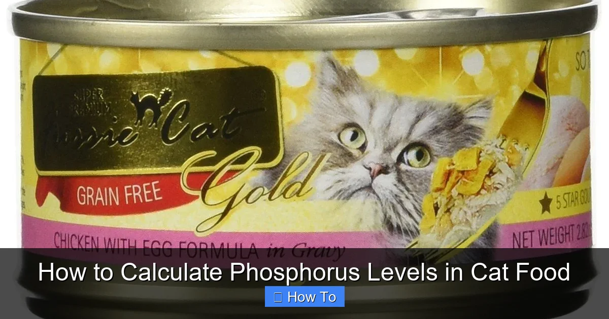 How to Calculate Phosphorus Levels in Cat Food