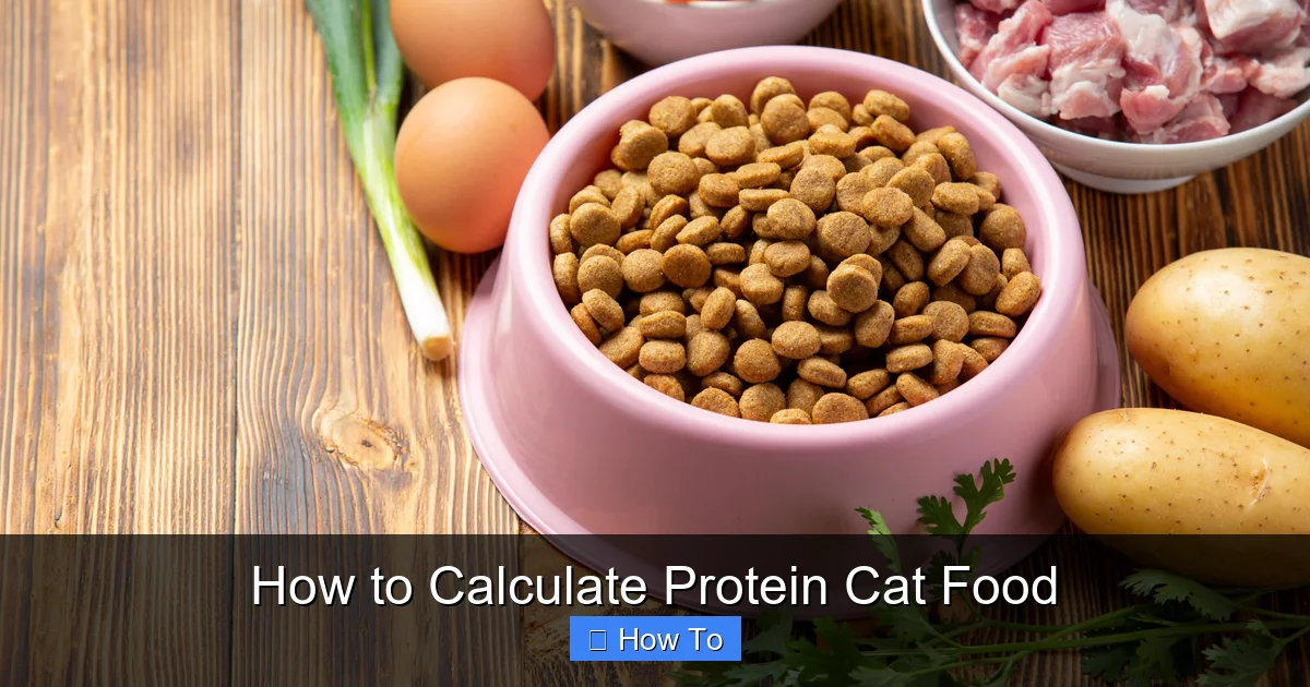 How to Calculate Protein Cat Food