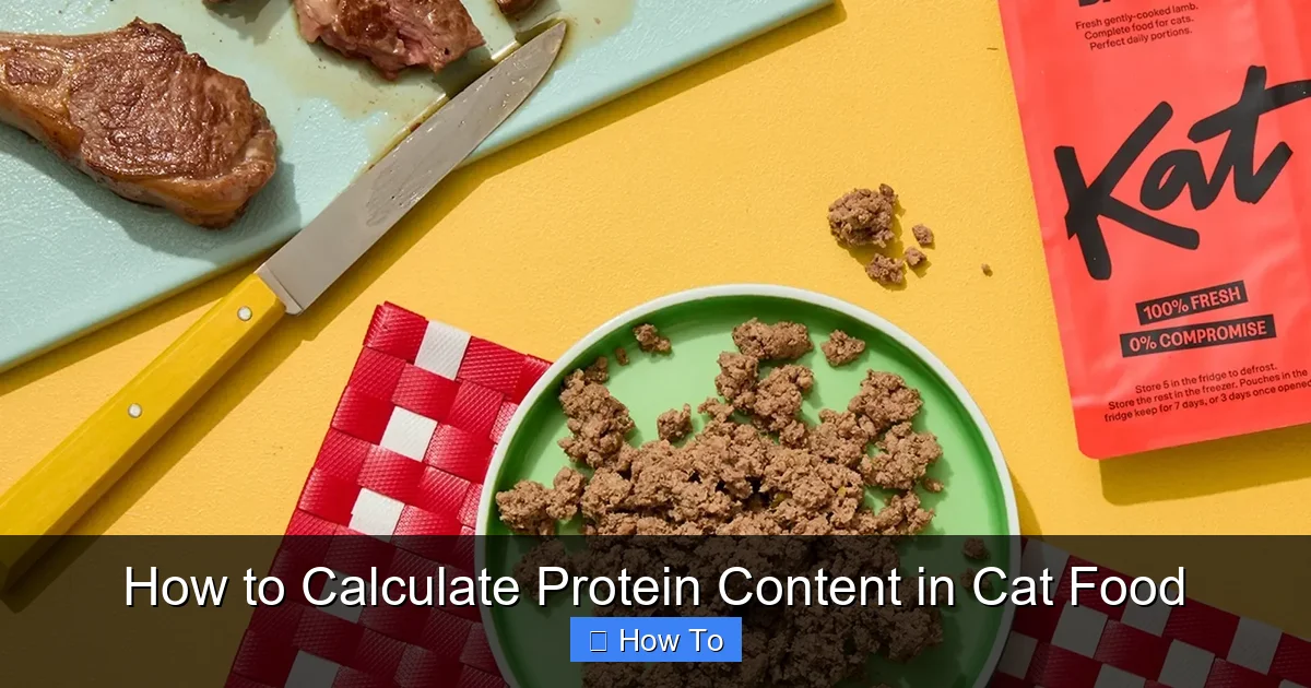 How to Calculate Protein Content in Cat Food