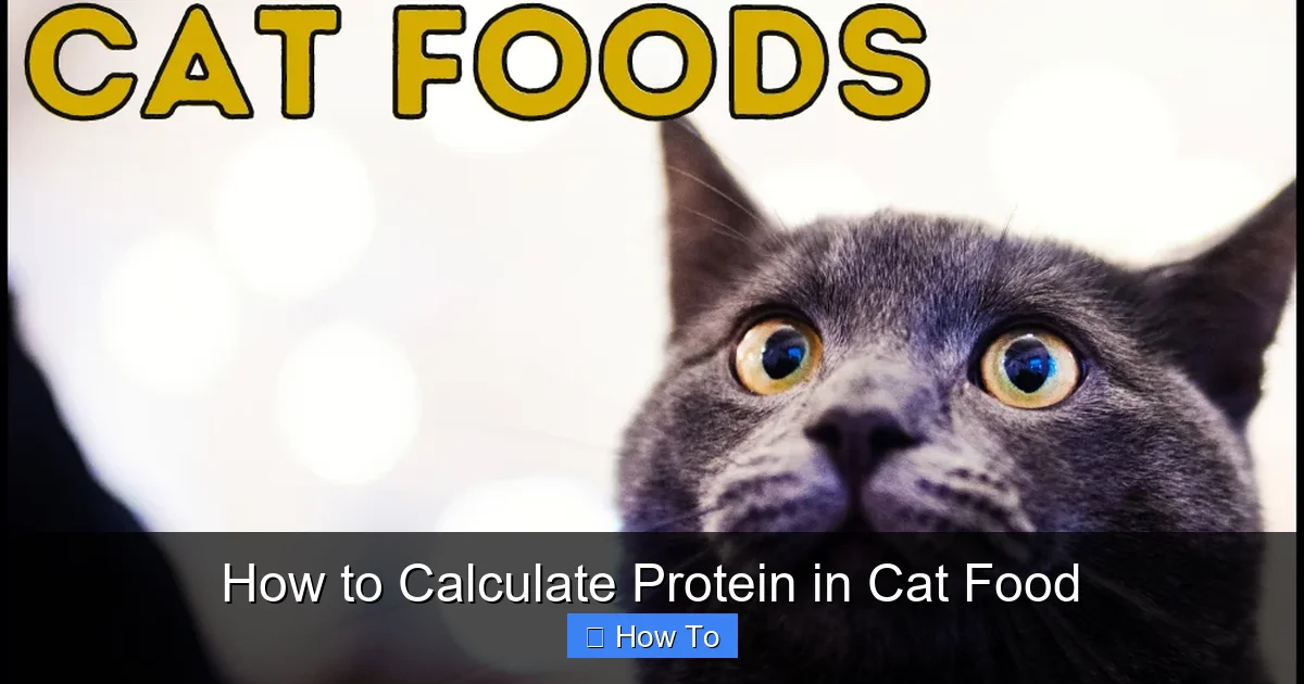 How to Calculate Protein in Cat Food