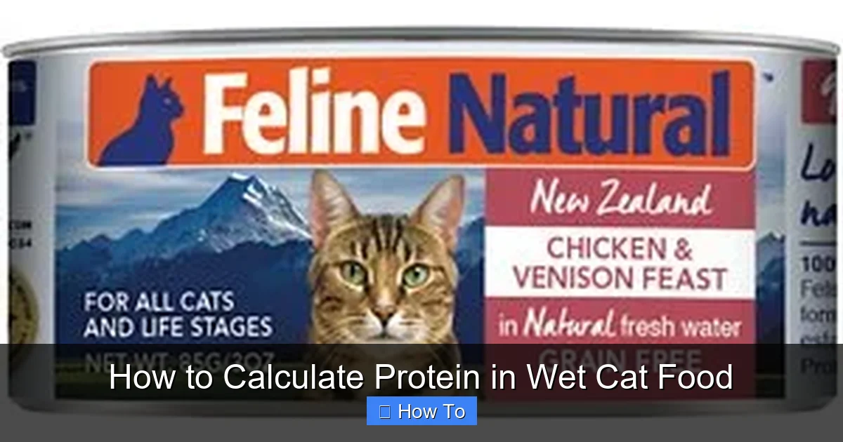 How to Calculate Protein in Wet Cat Food