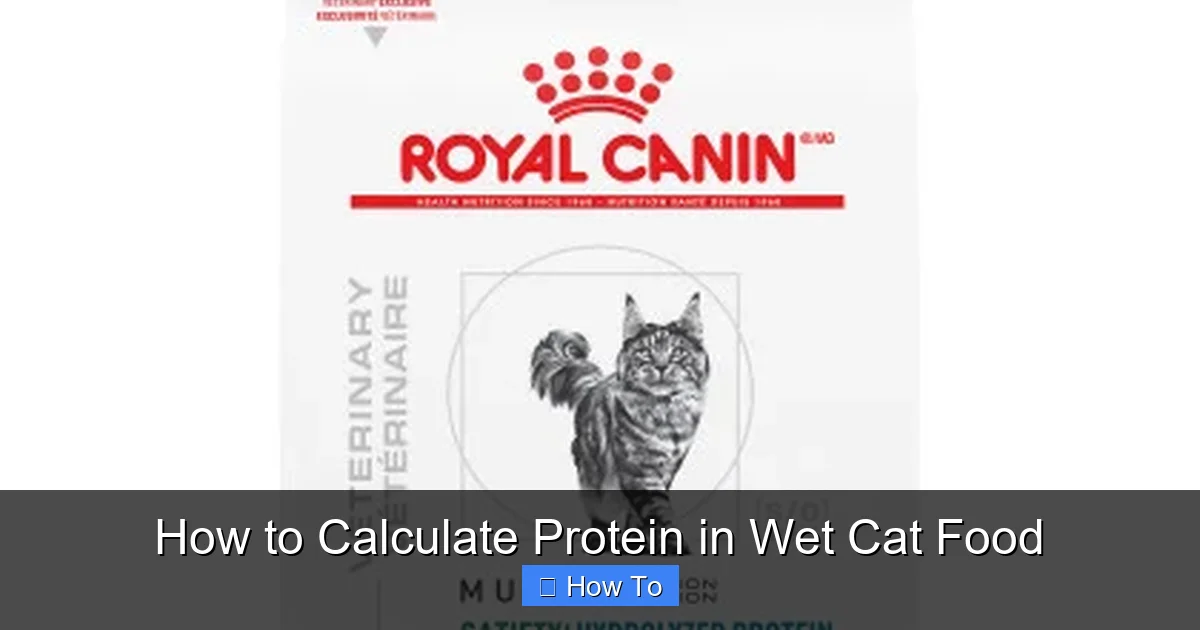 How to Calculate Protein in Wet Cat Food