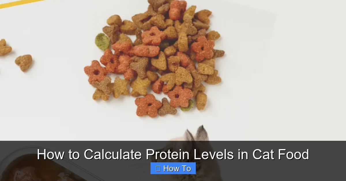 How to Calculate Protein Levels in Cat Food