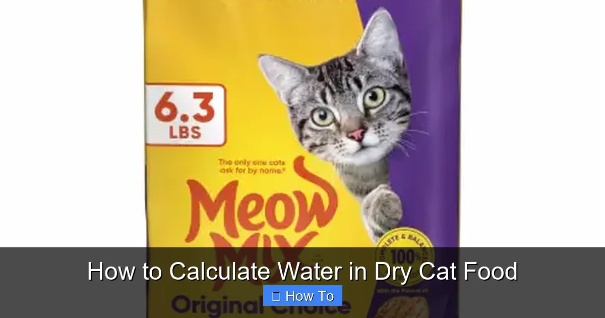 How to Calculate Water in Dry Cat Food