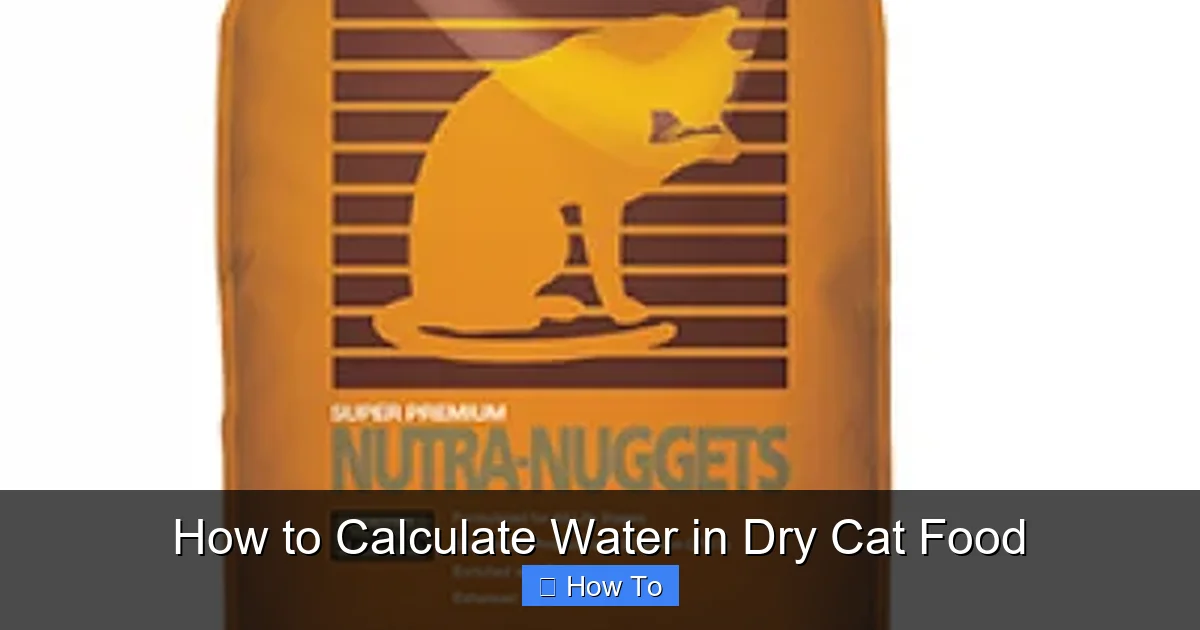 How to Calculate Water in Dry Cat Food