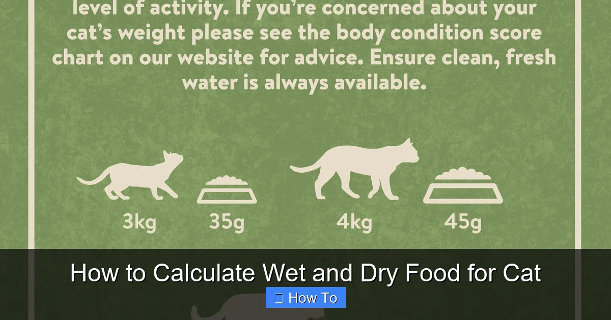 How to Calculate Wet and Dry Food for Cat