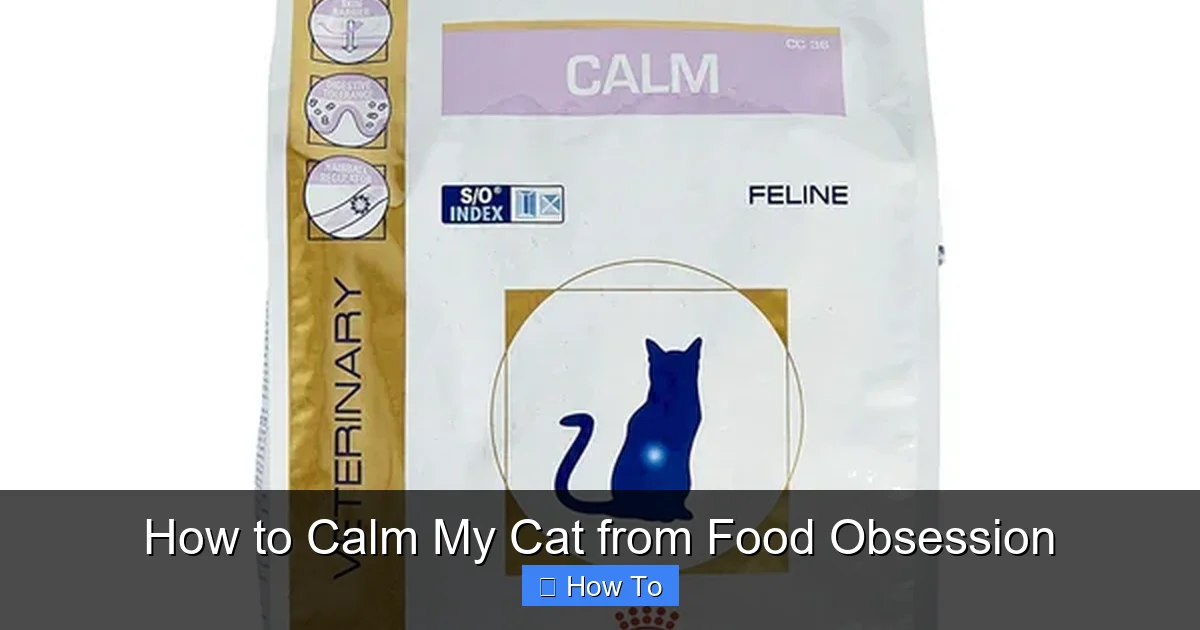 How to Calm My Cat from Food Obsession