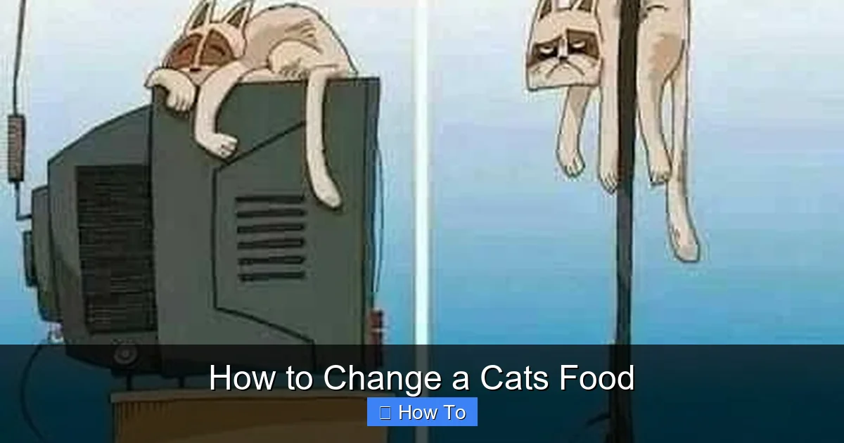 How to Change a Cats Food