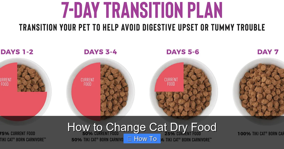 How to Change Cat Dry Food