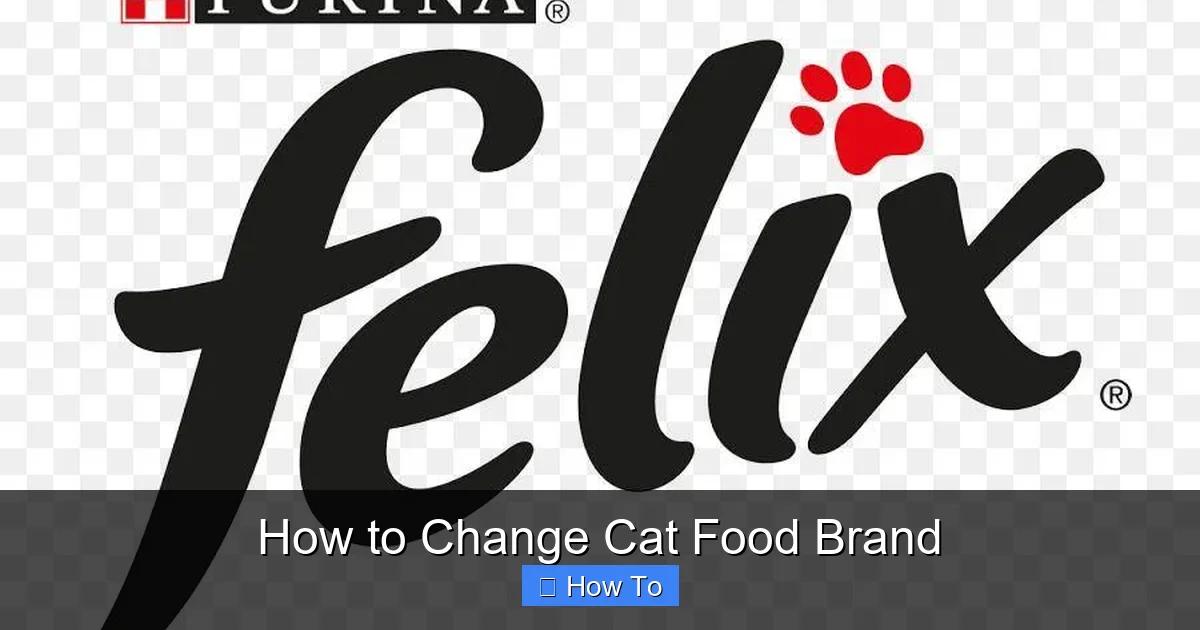 How to Change Cat Food Brand