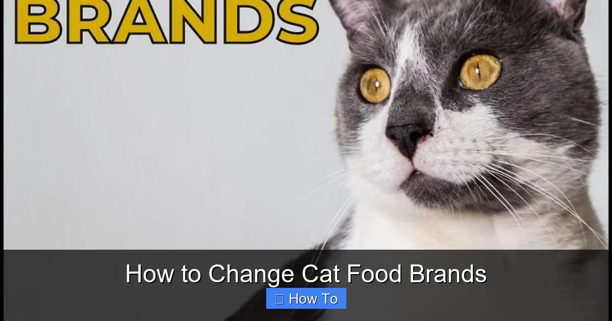 How to Change Cat Food Brands